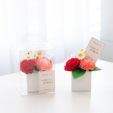 아스파시아 비누꽃 플로리 카네이션 화분 + 케이스 + 메시지 카드 + 용돈 봉투 세트, 레드 + 레드, 2세트