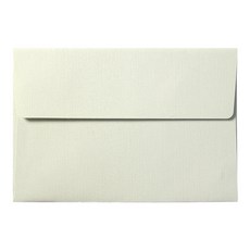 2Youngdesign 橫式明信片信封組 隨機出貨, 100入, 灰色