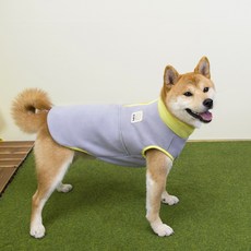 Coco studio 寵物秋冬大型犬衣服 聚酯纖維刷毛 Color Pop大型犬拉鍊T恤, 灰色, 1個