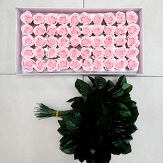 EPLYN DIY迷你乾燥玫瑰花 50入+葉片 50入, 粉色的, 1組