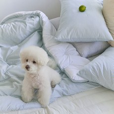 Gitden 寵物並排條紋四季被, 原色藍