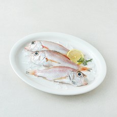 미감어보 국내산 손질 효온처리 통금태 (냉장), 1개, 280g(3미)