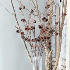 Young&Young乾燥松果枝, 混合顏色, 1個