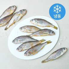 일품 법성포 이력추적 참조기 (냉동), 1개, 700g(중/10마리)