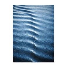 Paradaiso PDS家居裝飾 深海氣息系列 室內裝潢帆布海報 D