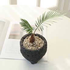 모리앤 화산석 화분에 심은 미니소철, 그린, 1개