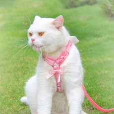 파스텔펫 반려동물 엔젤 하네스 리드줄 세트, 핑크, 1세트