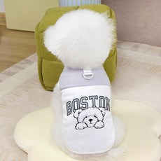 PASTEL PET 寵物波士頓熊網眼T恤, 灰色, 1個