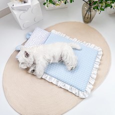 파스텔펫 반려동물 엠보 베어필로우 쿠션, 블루, 1개