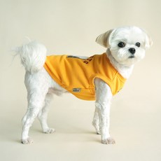 Peanuts 狗狗 Parisdog 復古字母刷毛T恤, 黃色, 1個