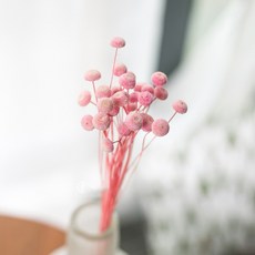 GAPANG 乾花DRYB091, 02號（粉色）