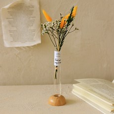 센트바스켓 비비드 라그라스 생화 프리저브드 실린더화병 세트, 옐로우