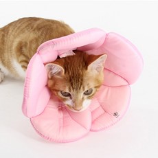 DING DONG PET 寵物專用花朵造型魔鬼氈防舔圈 粉紅色 XL號, 粉色, 1個