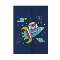 夏日戀情門簾, 太空船