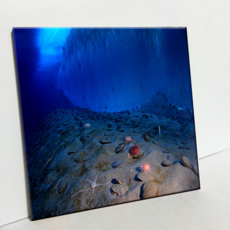 HTP 磁磚 海底 C2777