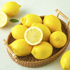 더네이처 칠레산 레몬, 1개, 1kg