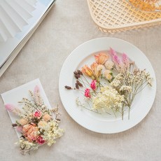 GAPANG 乾燥花 DRYB234, 01號