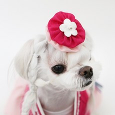 ITS DOG 寵物Jini排氏髮帶, 1個, 混合色