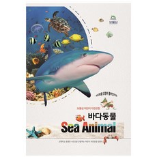 BOMURSEOM 海洋動物： 兒童自然觀察, 李信姬, 8809254840811