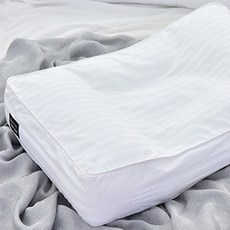 실크허브드림 호텔 베개 바이오 B0631, 화이트, 1개