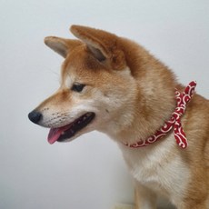 Yebodeul 寵物鈴鐺項圈 柴犬款, 1個, 紅色