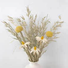 GAPANG 乾花 DRYD010, 08混色