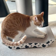 네이처펫 고양이 소파형 보드 스크래처, 혼합색상, 1개