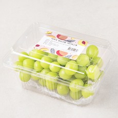 프레시픽 비파괴 당도선별 샤인머스캣, 1개, 450g