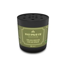 CUBE ON 車用芳香劑補充蕊芯, 1個, Cypress Soonhyang