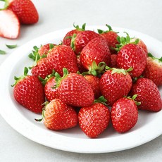 스윗볼 GAP 인증 담양 딸기 상, 600g, 1개