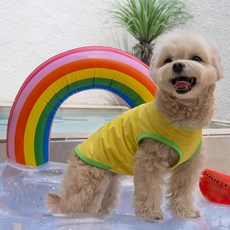 도그아이 강아지 쿨링 베스트, 레몬, 1개