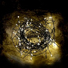 Dawoo F&G LED USB型蜈蚣燈串 100燈 4m, 黑色線條中的暖色燈泡