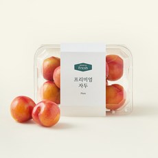 온브릭스 프리미엄 대석 자두, 1개, 500g