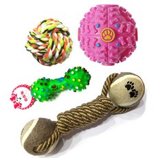 和狗狗一起玩堅硬的牙齒健康狗狗玩具 4種組, 混色, 1套