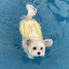 RITOGATO 狗狗棒棒糖救生衣, 黃色