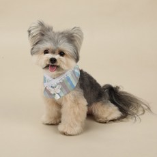 RITOGATO 狗狗 Nannabi 彩色條紋韓服斗篷, 1個, 天藍色