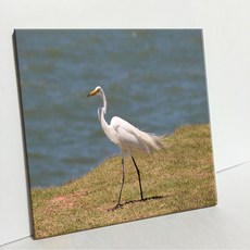 UDP 磁磚畫框 A型 3935117, 單一顏色