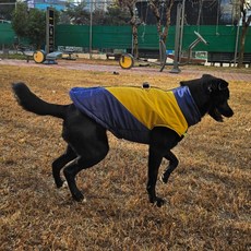 狗狗中大型犬雙D型環鋪棉背心, 海軍藍, 1個