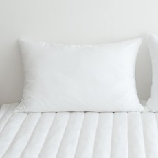 yesbedding Du All Guard水洗防塵蟎枕套 2入, White