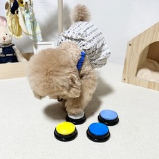 PETCA 小狗錄音鈴訓練玩具 4 件套, 4件套