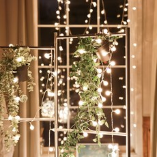 JTORY 裝飾燈串 50燈 5m+遙控器+USB兩用電池盒, 暖色