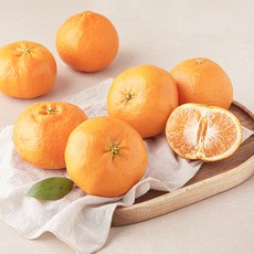 프레시픽 레드향, 1.5kg(중과, 6~7입), 1팩