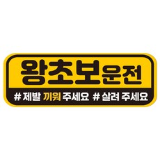 루키마켓 자국없는 리무버블 탈부착 초보운전 스티커 자석, JC26 왕초보운전, 1개