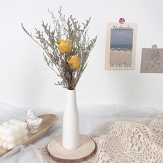 GAPANG 乾花DRYD005+花瓶, 06混裝