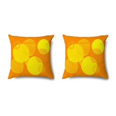 極簡現代藝術抽象畫抱枕套 45x45 2入, 01