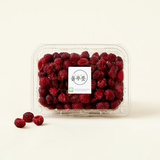 올푸릇 무농약 인증 산딸기, 250g, 1개