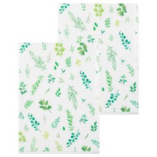 日本 MIDORI 3層資料夾 A5, 綠葉, 2個