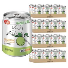 十全 果醋好氣 果醋氣泡飲 梅子口味 250ml, 48罐