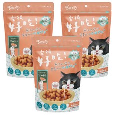 易特廚 快樂時光咔脆餅乾貓零時, 鮮嫩鮭魚, 100g, 3包