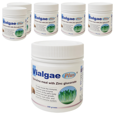 Vialgae Plus 維京藍寶素 100g 全齡犬貓適用 綜合營養劑 藍藻 提升免疫力 亮麗毛髮 6罐